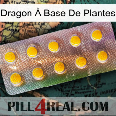 Dragon À Base De Plantes new11